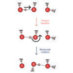 Nanoconfined superionic water is a molecular superionic