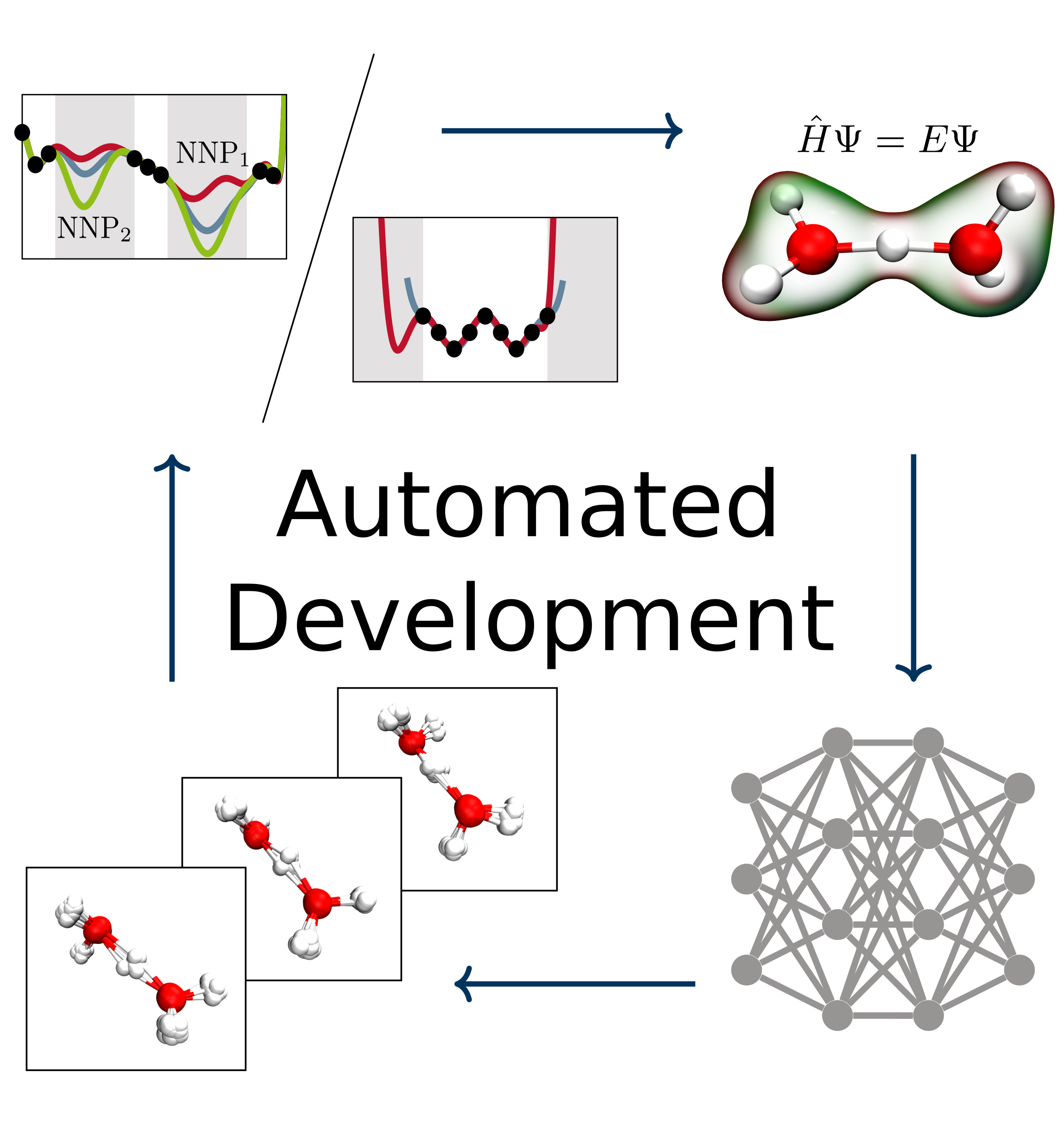 Automated Fitting of Neural Network Potentials at Coupled Cluster Accuracy: Protonated Water Clusters as Testing Ground