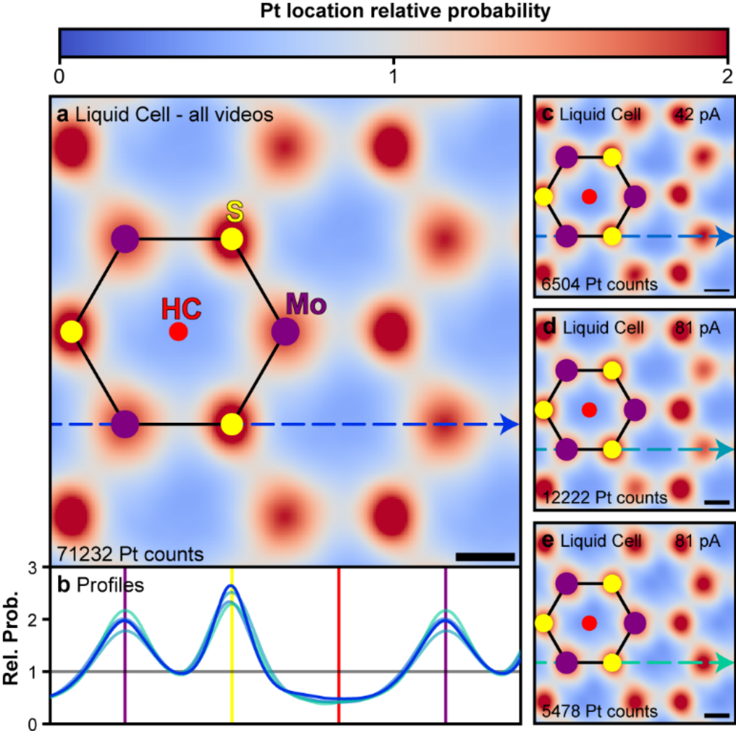 Tracking single adatoms in liquid in a Transmission Electron Microscope