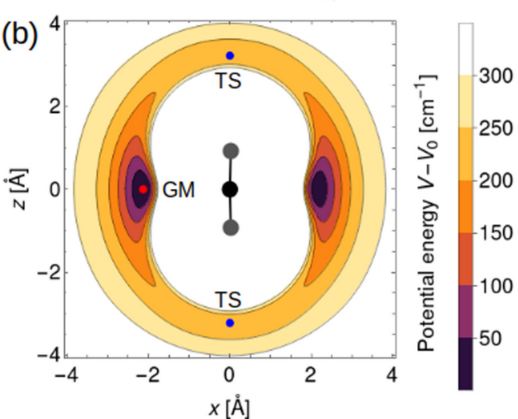 Quantum Nuclear Delocalization and its Rovibrational Fingerprints