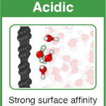 Protons accumulate at the graphene–water interface